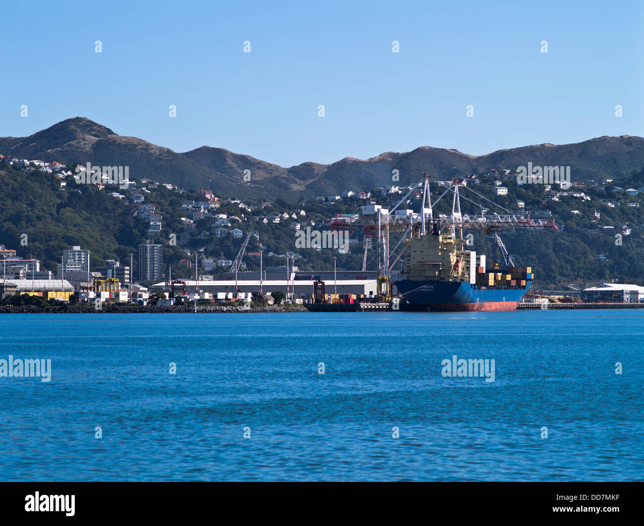 dh Wellington Harbour WELLINGTON Neuseeland Schiff Hafen Containerkrane Stockfoto