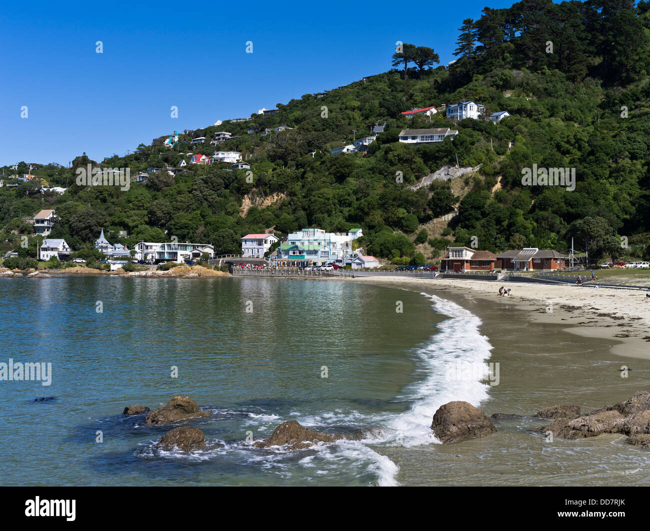 dh Scorching Bay WELLINGTON NEUSEELAND Küste Sandstrand direkt am Meer Cafe Vorort Häuser Küste Nordinsel Stockfoto