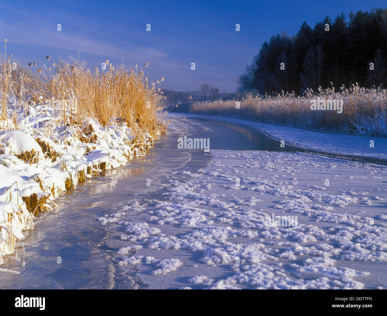 Lyna Fluss, Ermland ich Masuren, Polen Stockfoto