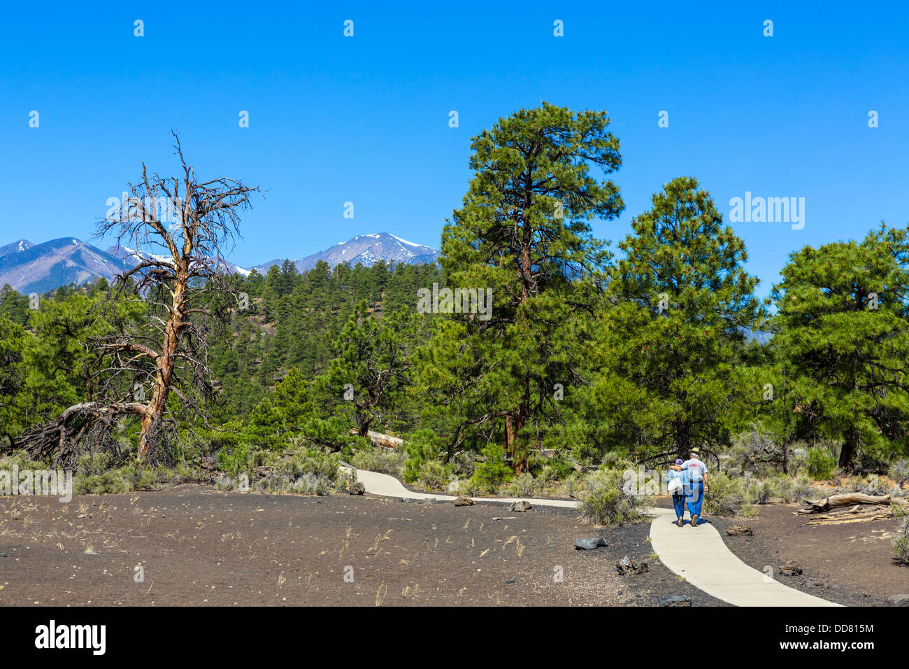 Ältere Paare auf die Lava Flow Trail am Sunset Crater Volcano National Monument, in der Nähe von Flagstaff, Arizona, USA Stockfoto