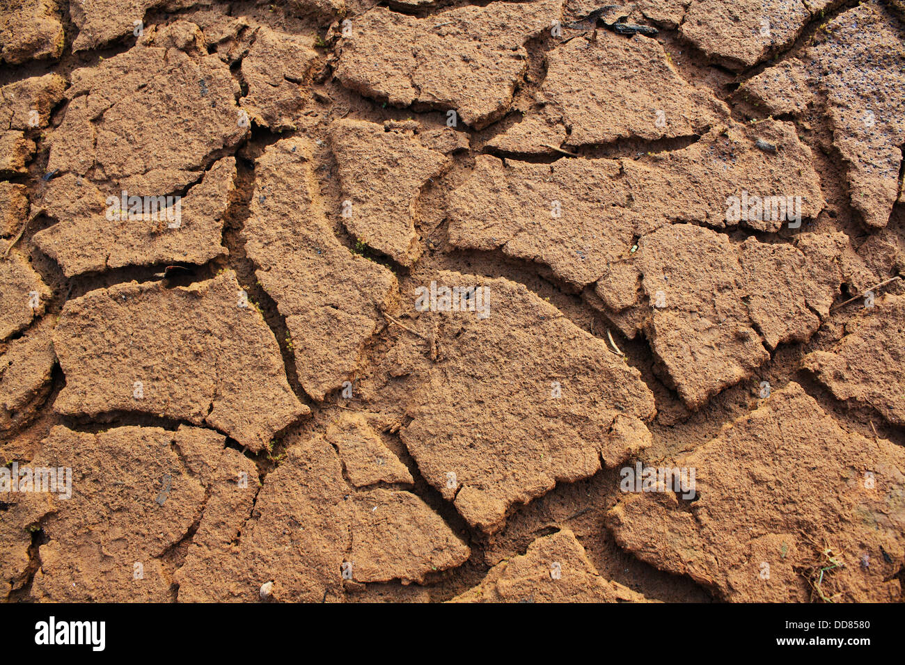 ohne Wasser landen Sie, sehen Sie trocken und Dürr. Stockfoto