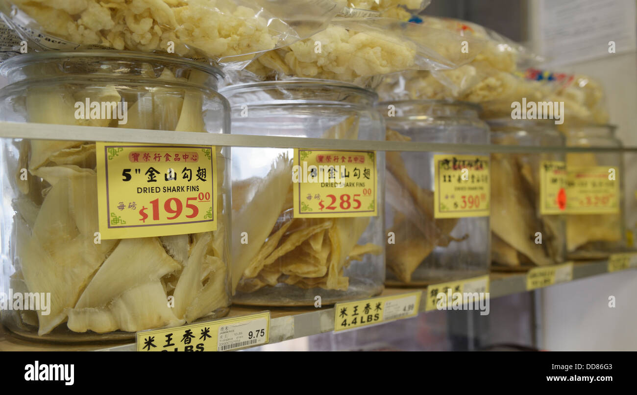 Getrocknete Haifischflossen zu verkaufen in Chinatown, New York.  Verwendet, um die Haifischflossen-Suppe, eine Delikatesse für besondere Anlässe. Stockfoto