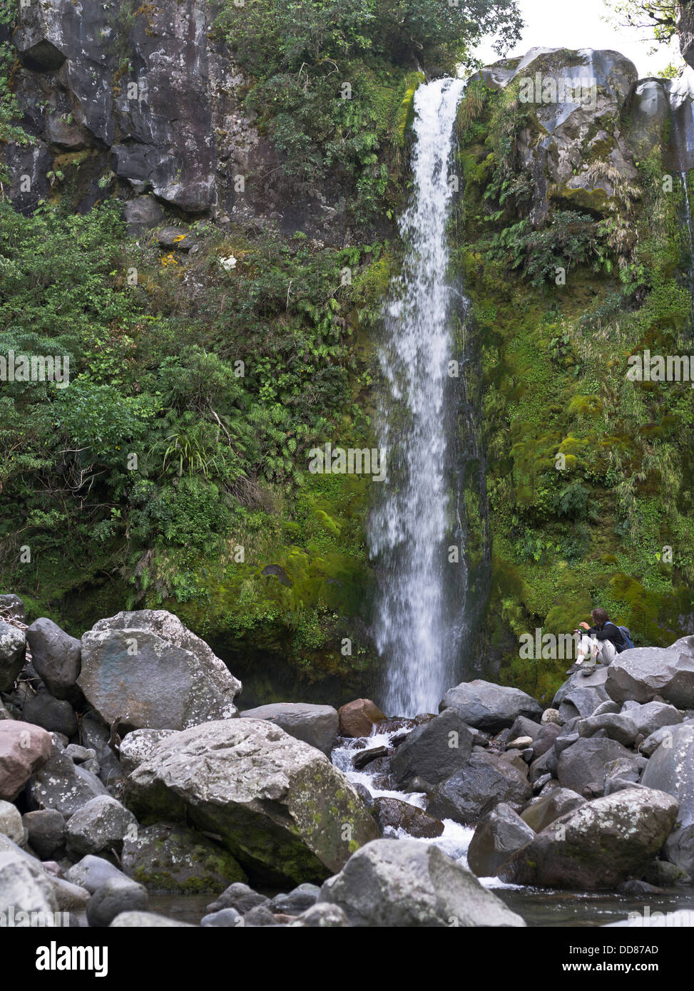 dh Dawson fällt TARANAKI Neuseeland Mann touristischen Egmont Nationalpark Strom hinunter Mount Taranaki Wasserfall Stockfoto