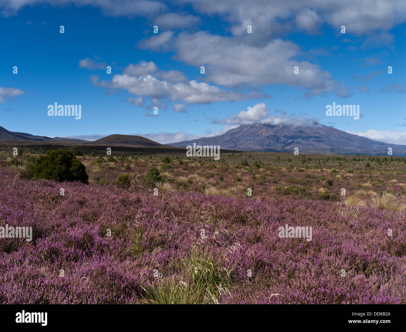 dh Tongariro National Park MOUNT RUAPEHU NEUSEELAND Mt Ruapehu North Island Central Plateau heidnischen Landschaftsschutzgebiet Landschaft Stockfoto