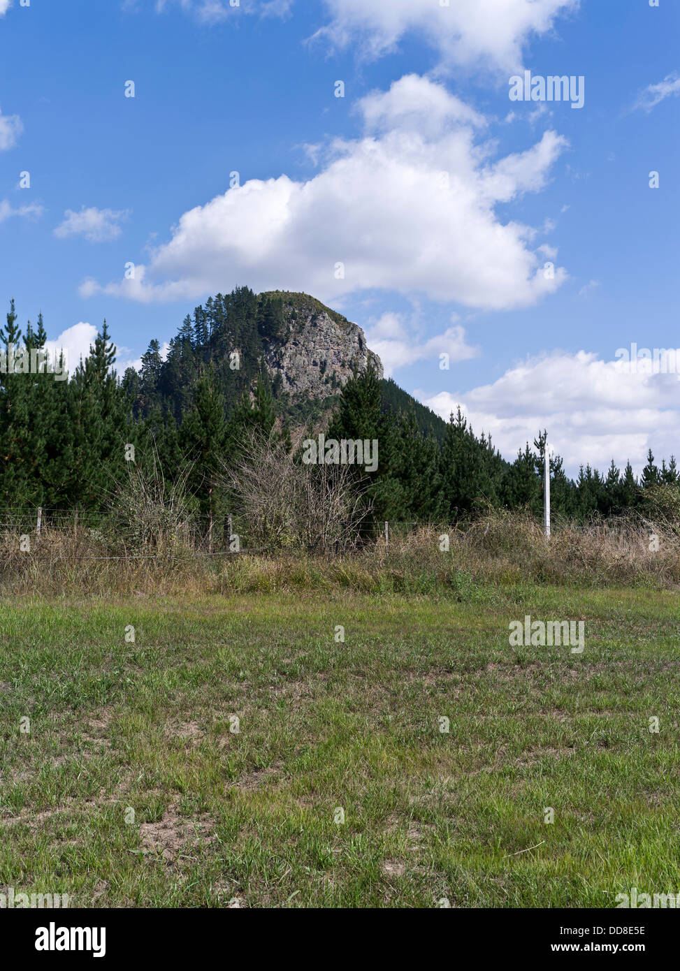 dh Pohaturoa WAIKATO Neuseeland hohe Rhyolith Lavadom vulkanische Stecker crag Stockfoto
