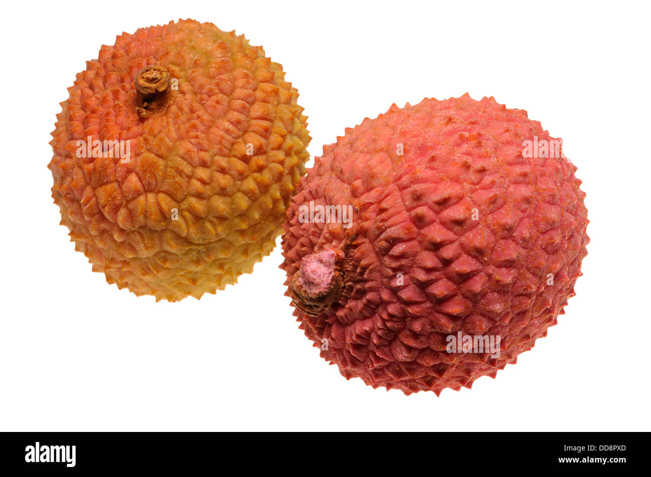 Litschi (Litchi Chinensis)-Früchte Stockfoto