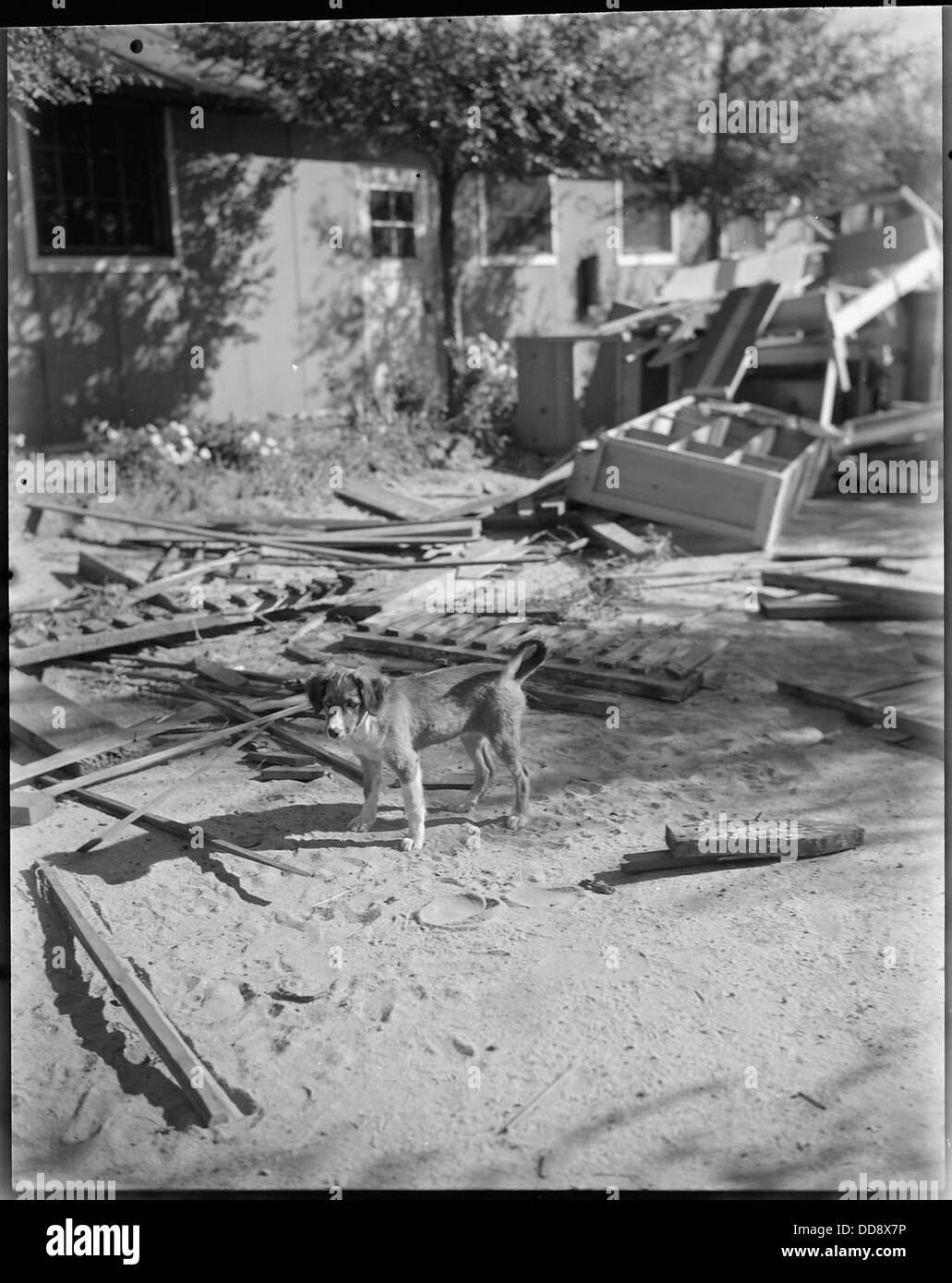 Granada Relocation Center, Amache, Colorado. Tische, Bänke, Stühle, etc., gemacht aus Schrott Holz...--539956 Stockfoto