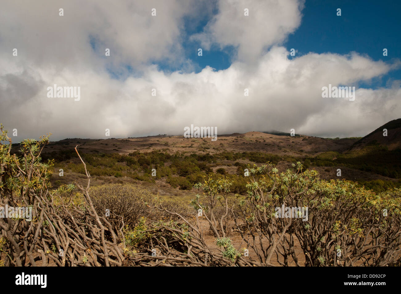 Eine Landschaft von Hügeln, die im Grünen unter einem bewölkten Himmel und Sonnenlicht von El Hierro Island, Kanarische Insel, bedeckt sind Stockfoto