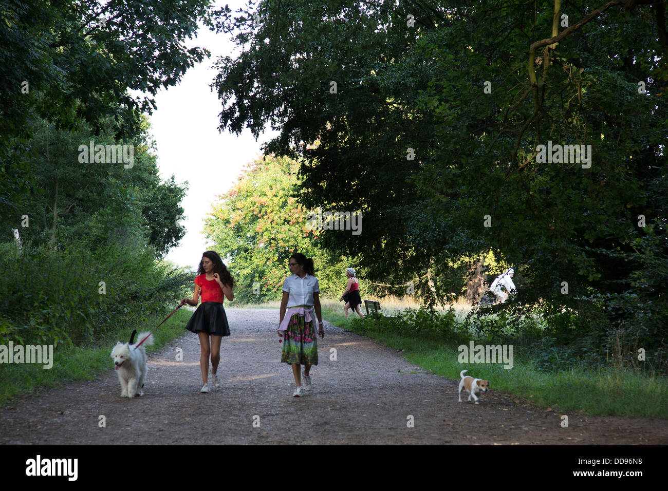 Mädchen Spaziergang mit seinem Hund auf Hampstead Heath, London, UK. Stockfoto