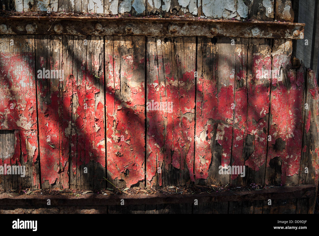 Ruder Boot Stockfoto