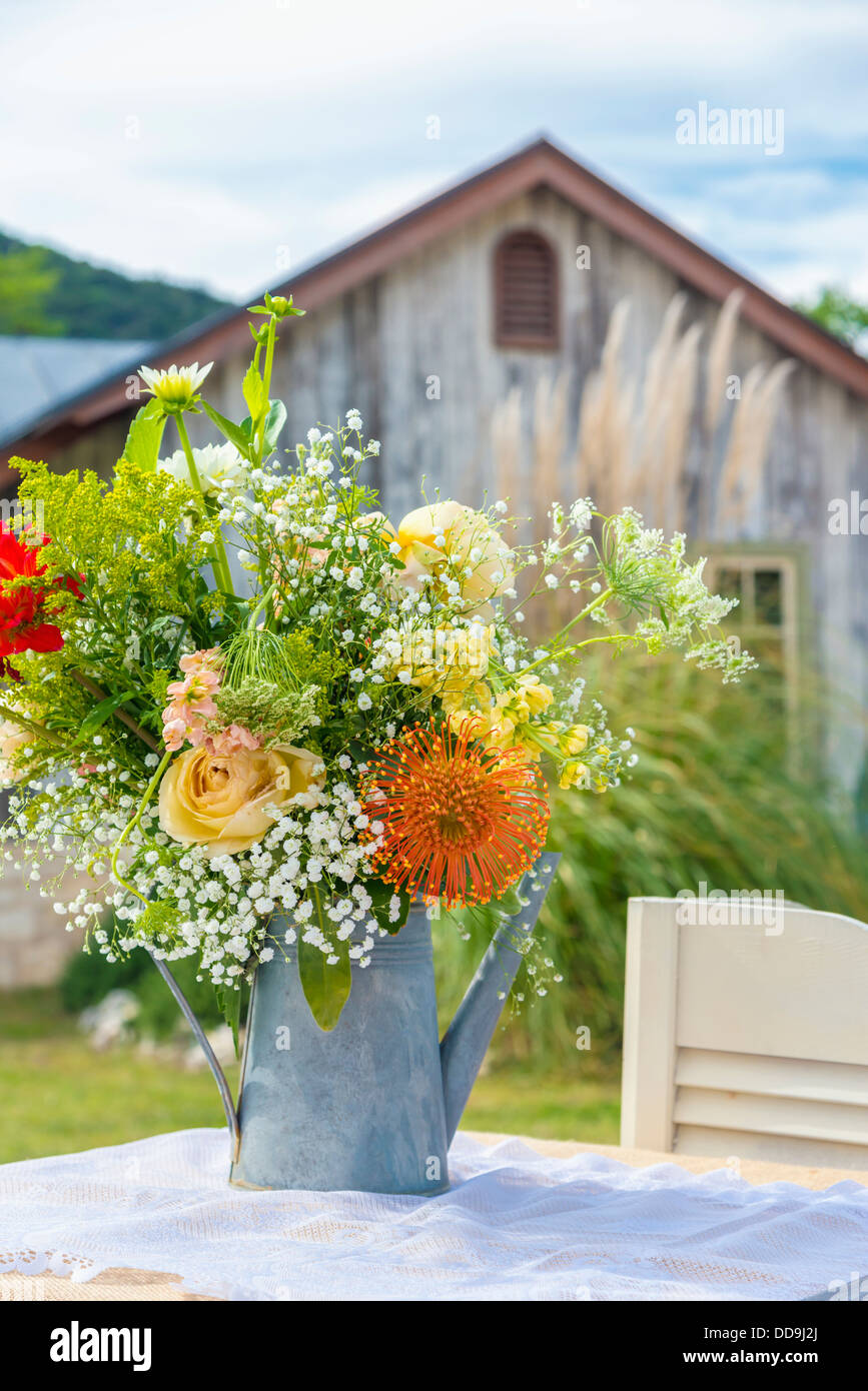 USA, Texas, Blumenstrauß in Gießen kann Stockfoto