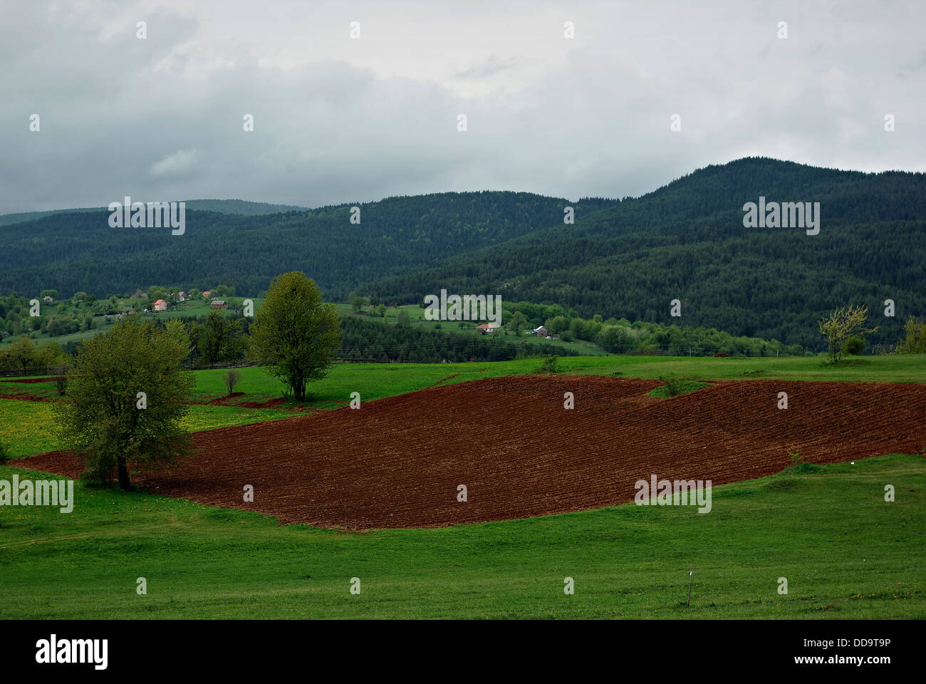 Landschaft von Ackerland und Wiesen am Bergtal mit Hügeln, Wald und Wolken im Hintergrund. Stockfoto