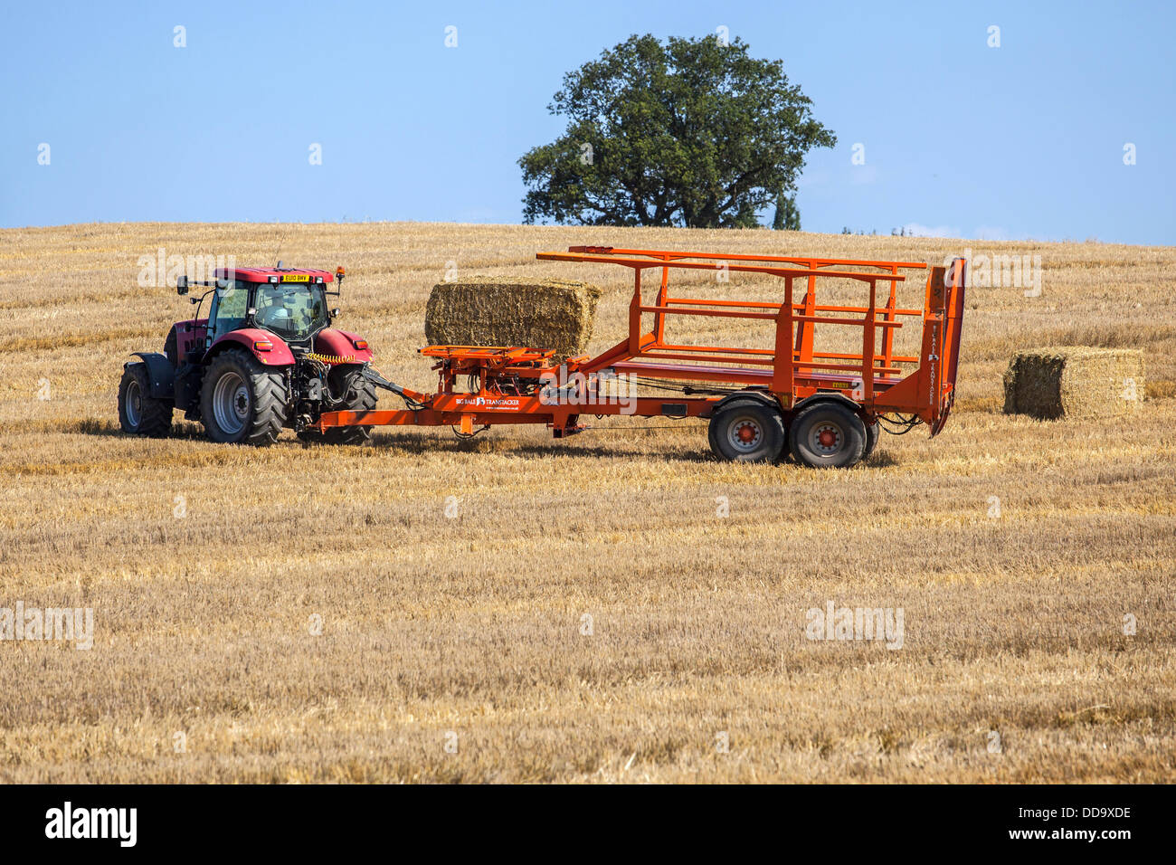 Erntezeit in Essex Stockfoto