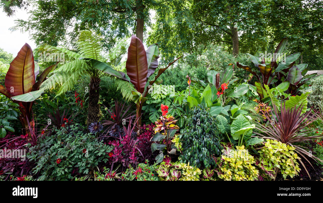 Die tropischen Gärten des St James Park, London Stockfoto