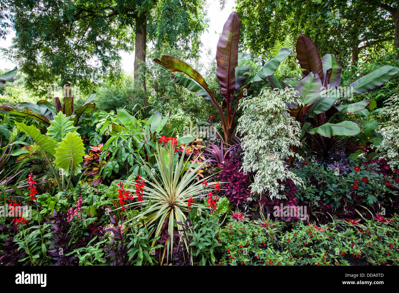 Die tropischen Gärten des St James Park, London Stockfoto