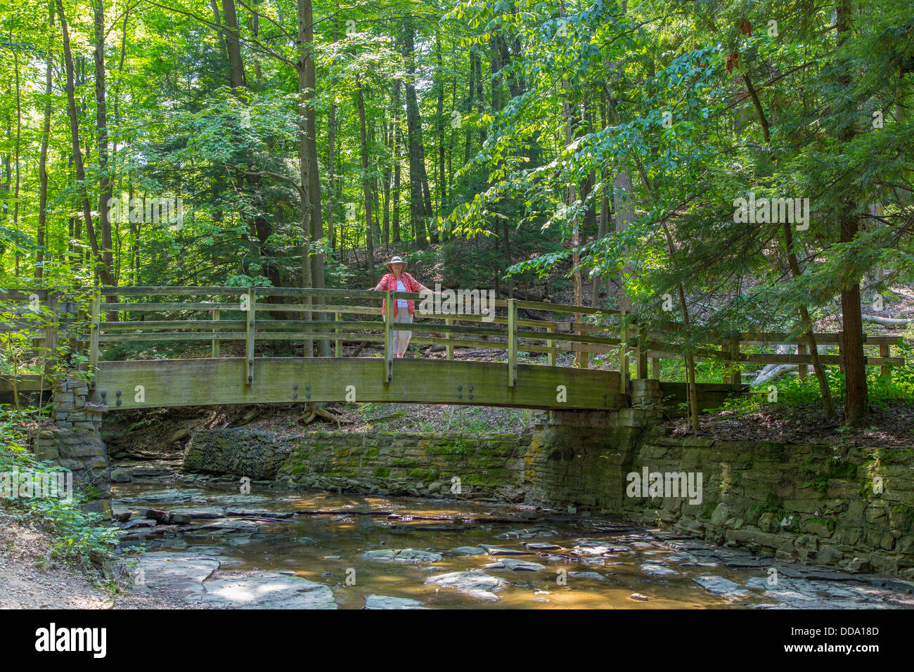 Hölzerne Fußgängerbrücke über den Creek im Cuyahoga Valley National Park in Ohio Vereinigte Staaten von Amerika Stockfoto