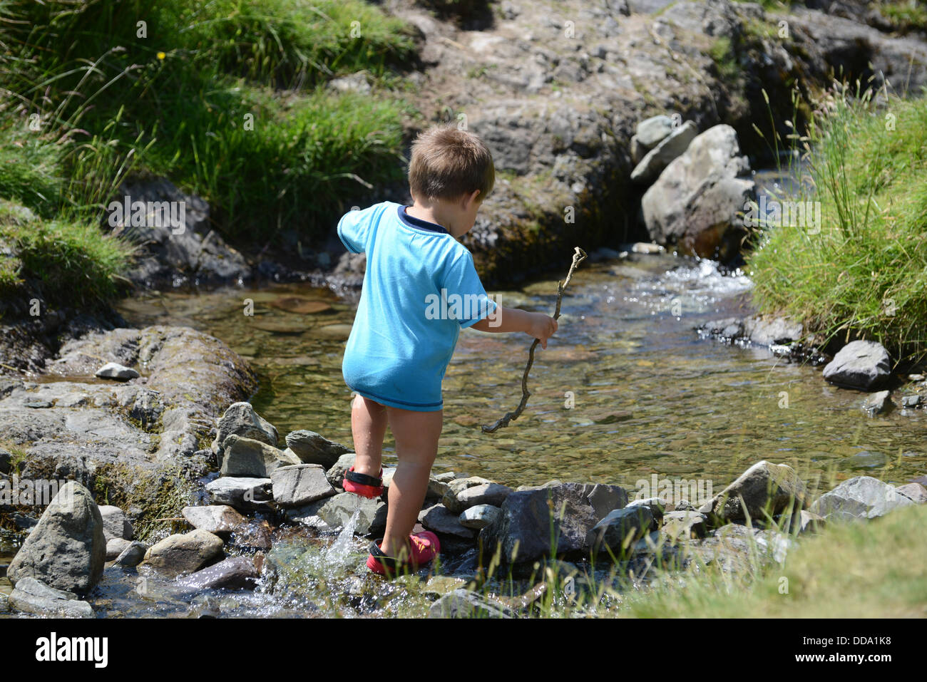 Kind zu Fuß Wasser im Bach Uk Stockfoto