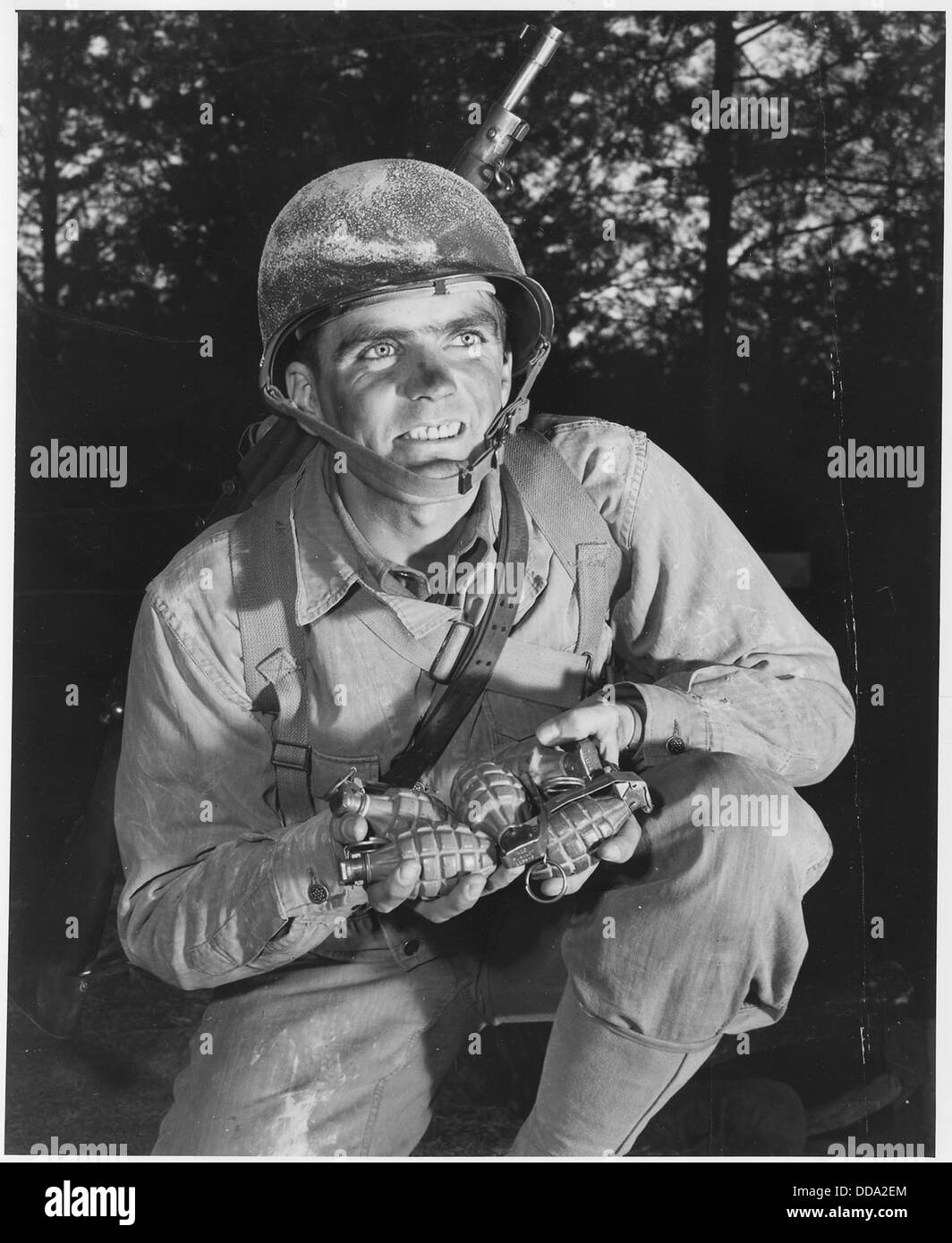 Ein US-Infanteriker in Fort Belvoir, Virginia, bereitet sich auf eine Ananas-Lieferung vor, die für einen Kriegsführer bestimmt ist. Dieser historische Moment spiegelt die ungewöhnliche Logistik und den Betrieb während des Zweiten Weltkriegs wider Stockfoto