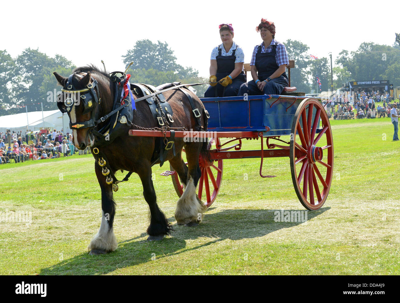 Frauen fahren Pferd und Wagen in Shrewsbury Steam Rally 2013 Stockfoto