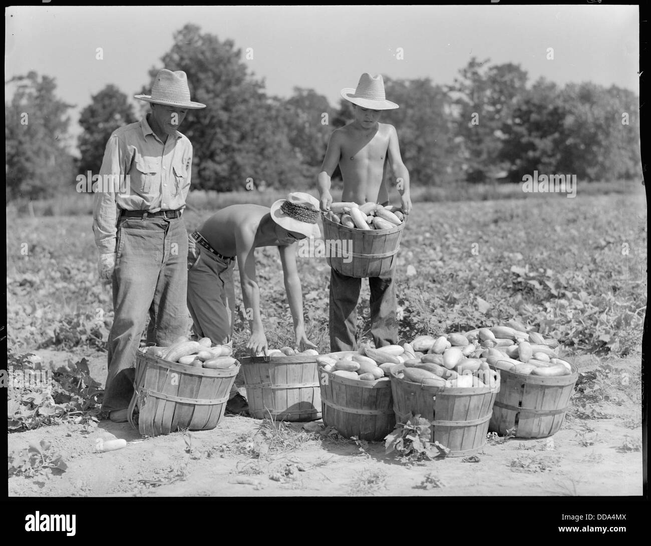 Hier werden die Bewohner des Rohwer Relocation Center in der Nähe von McGehee, Arkansas, eines der Internierungslager für japanische Amerikaner aus dem Zweiten Weltkrieg, abgebildet, das einen Einblick in das Leben an diesem historisch bedeutsamen Ort bietet. Stockfoto