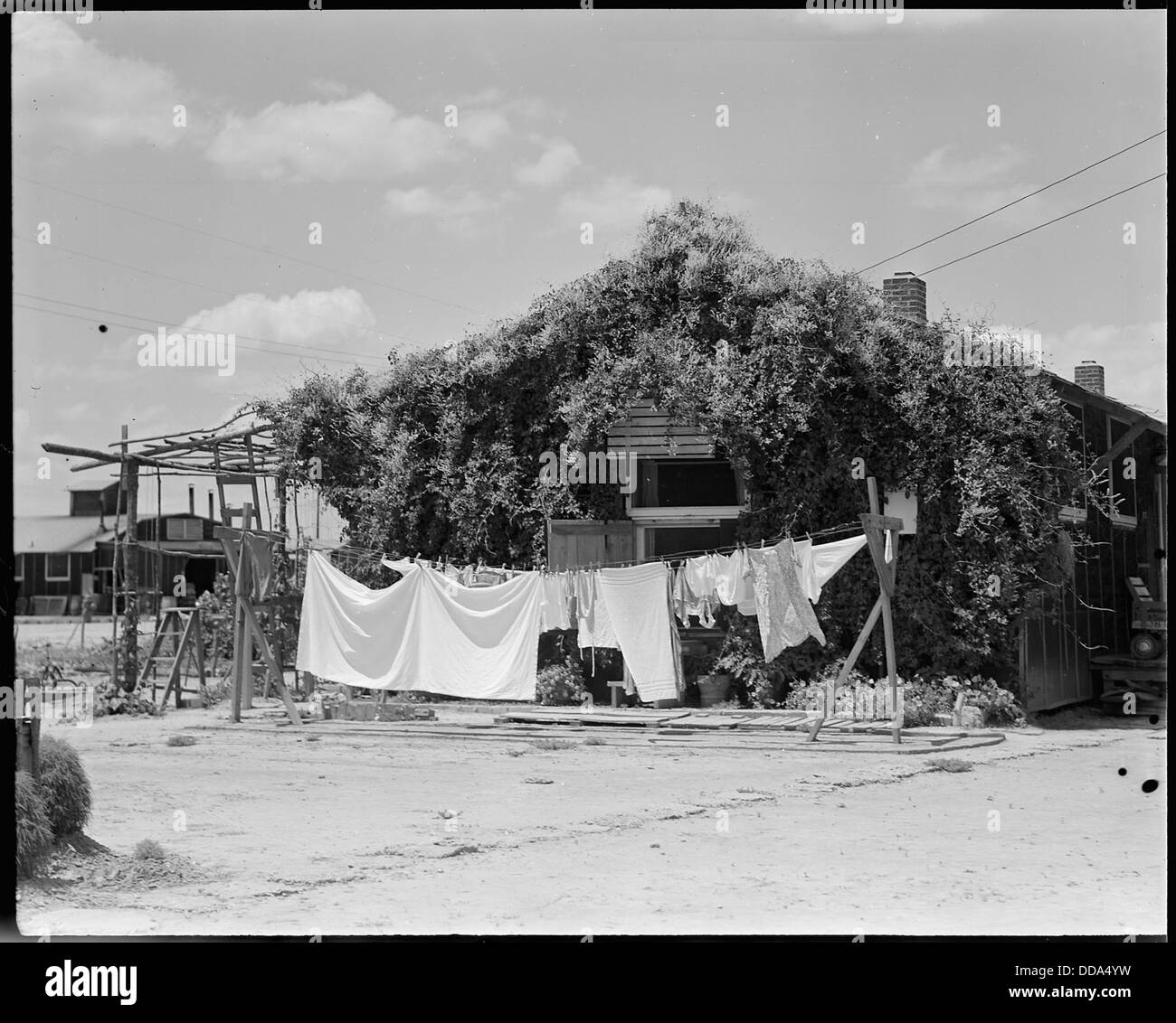 Im Rohwer Relocation Center in McGehee, Arkansas, bedecken Reben das Teerpapier auf einer Residenz, was die Bedingungen im Internierungslager während des Zweiten Weltkriegs veranschaulicht Stockfoto