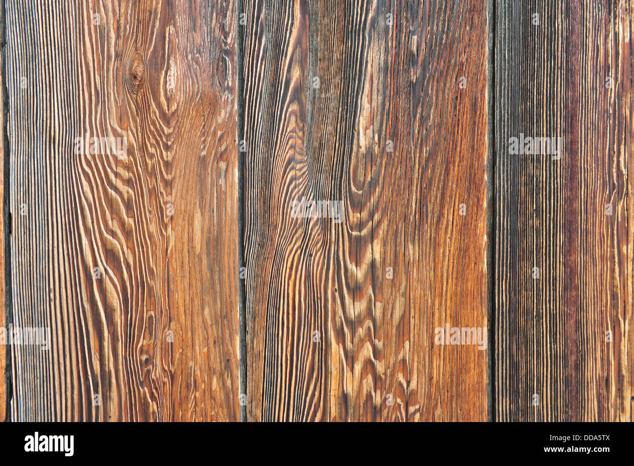 Holz Textur Stockfoto