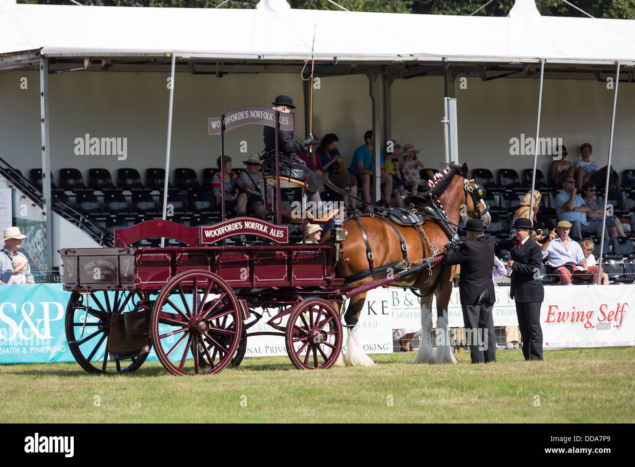 Eine traditionelle Ale Cart und Shire Horse sind auf eine Grafschaft in England beurteilt. Stockfoto