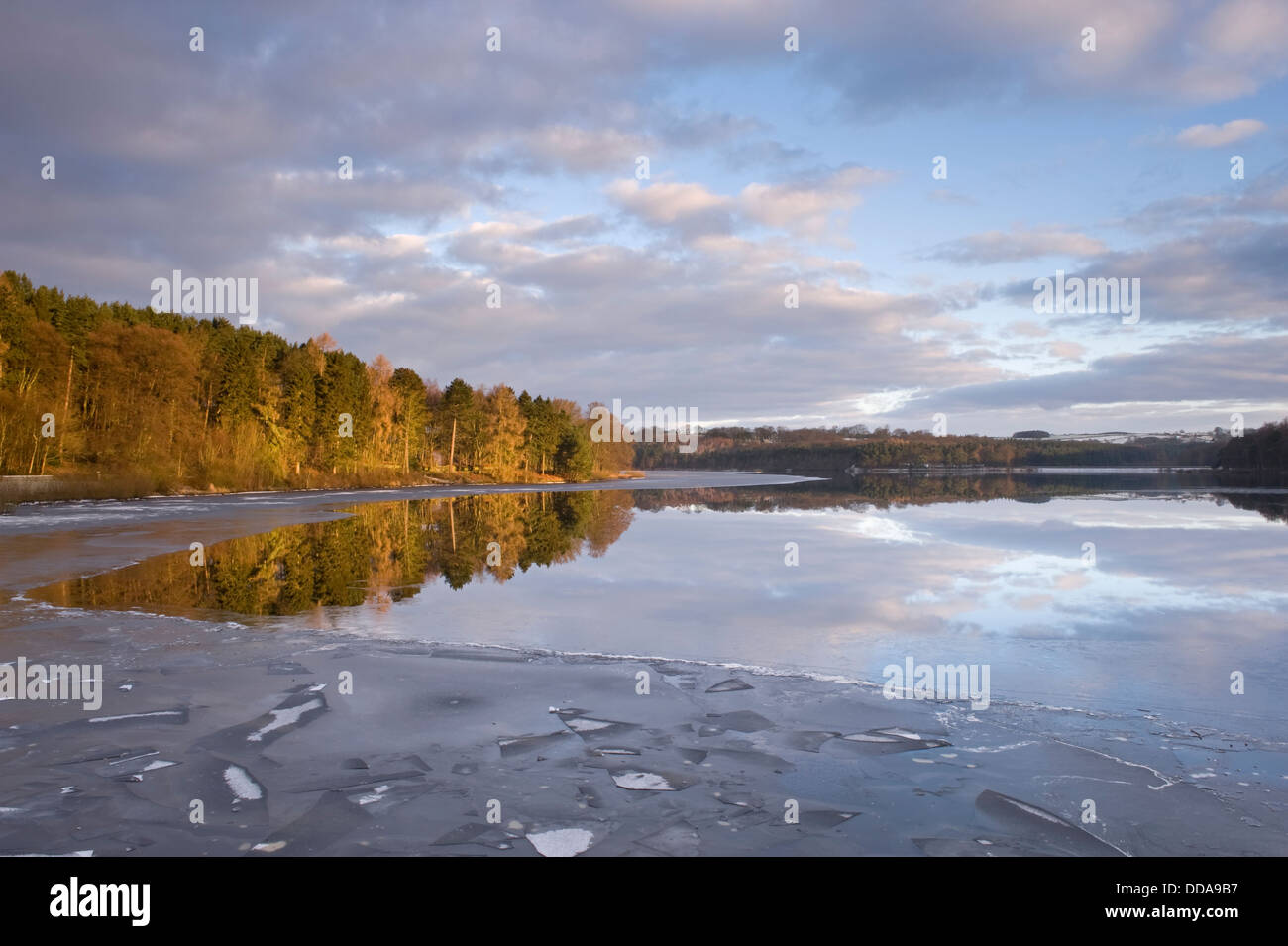Malerische winter Blick über eisige Oberfläche der Swinsty Behälter wo Wald Bäume & dramatische Himmel im Wasser reflektiert werden - North Yorkshire, England, UK. Stockfoto