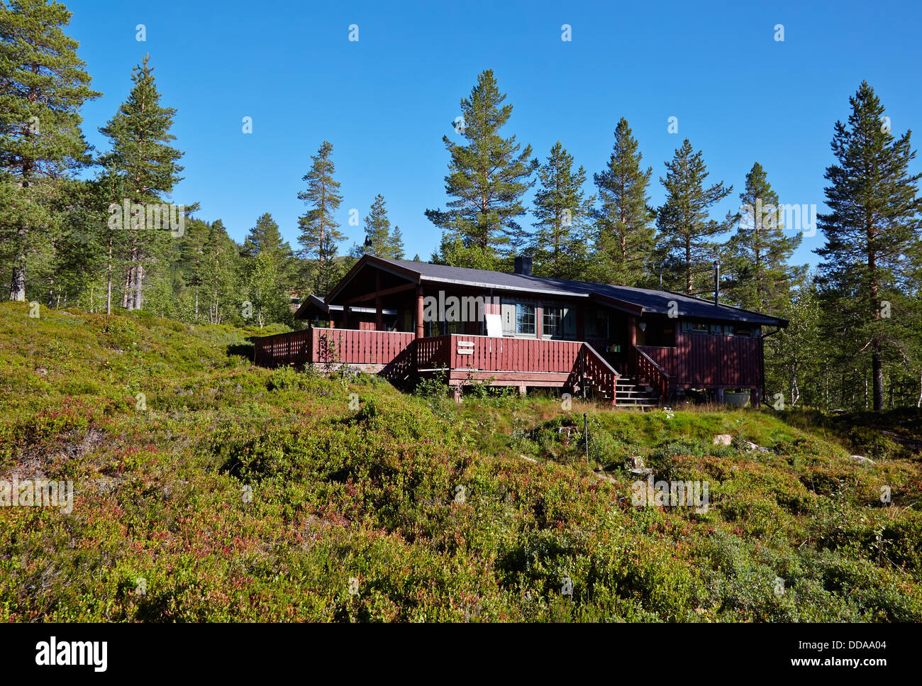 Gemütlichen Holzhütte im Wald von Adolen in der Vikerfjellet Region Mittelnorwegen Stockfoto