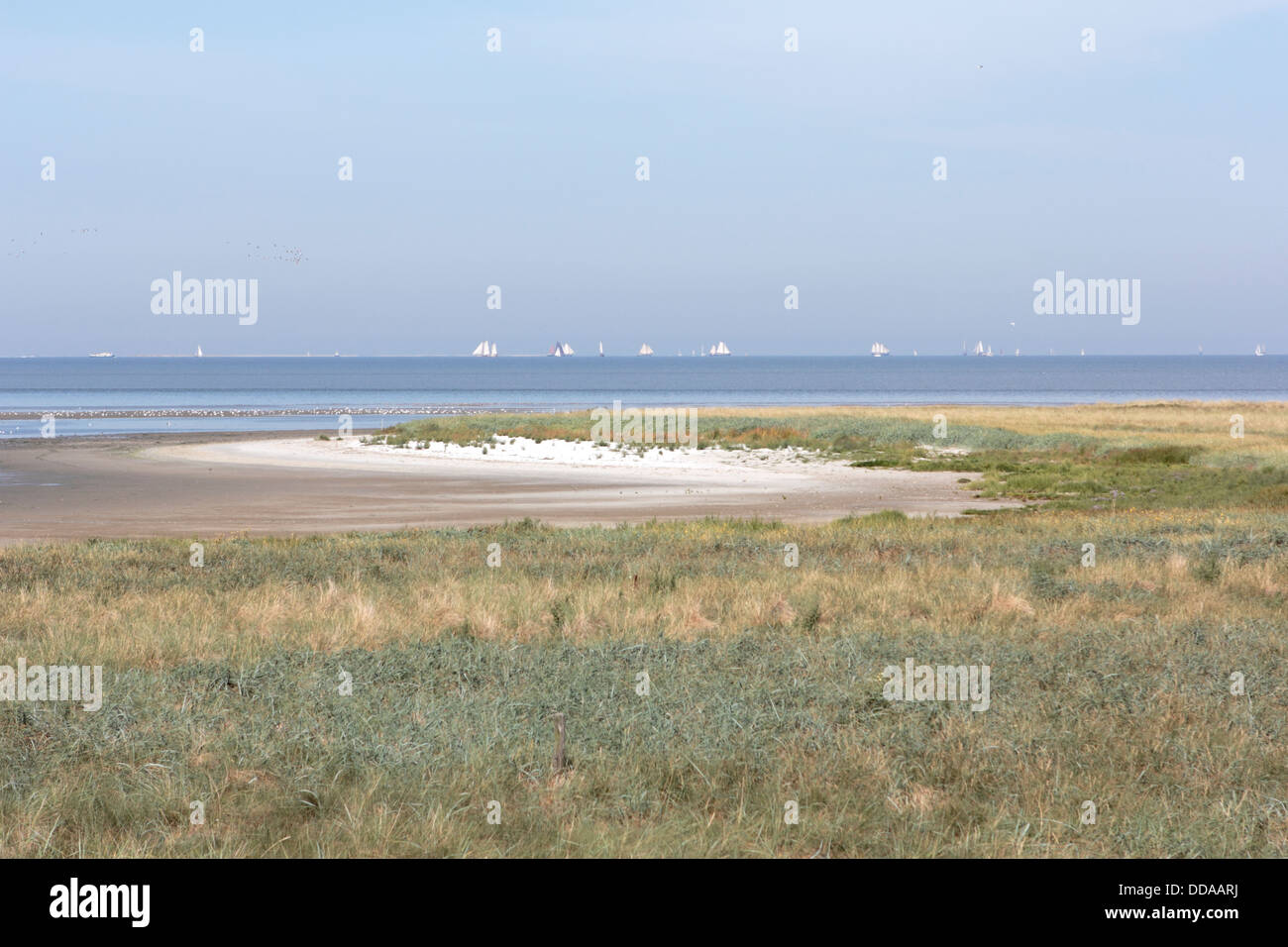 Sumpf-Landschaft auf der Insel Griend, Niederlande Stockfoto