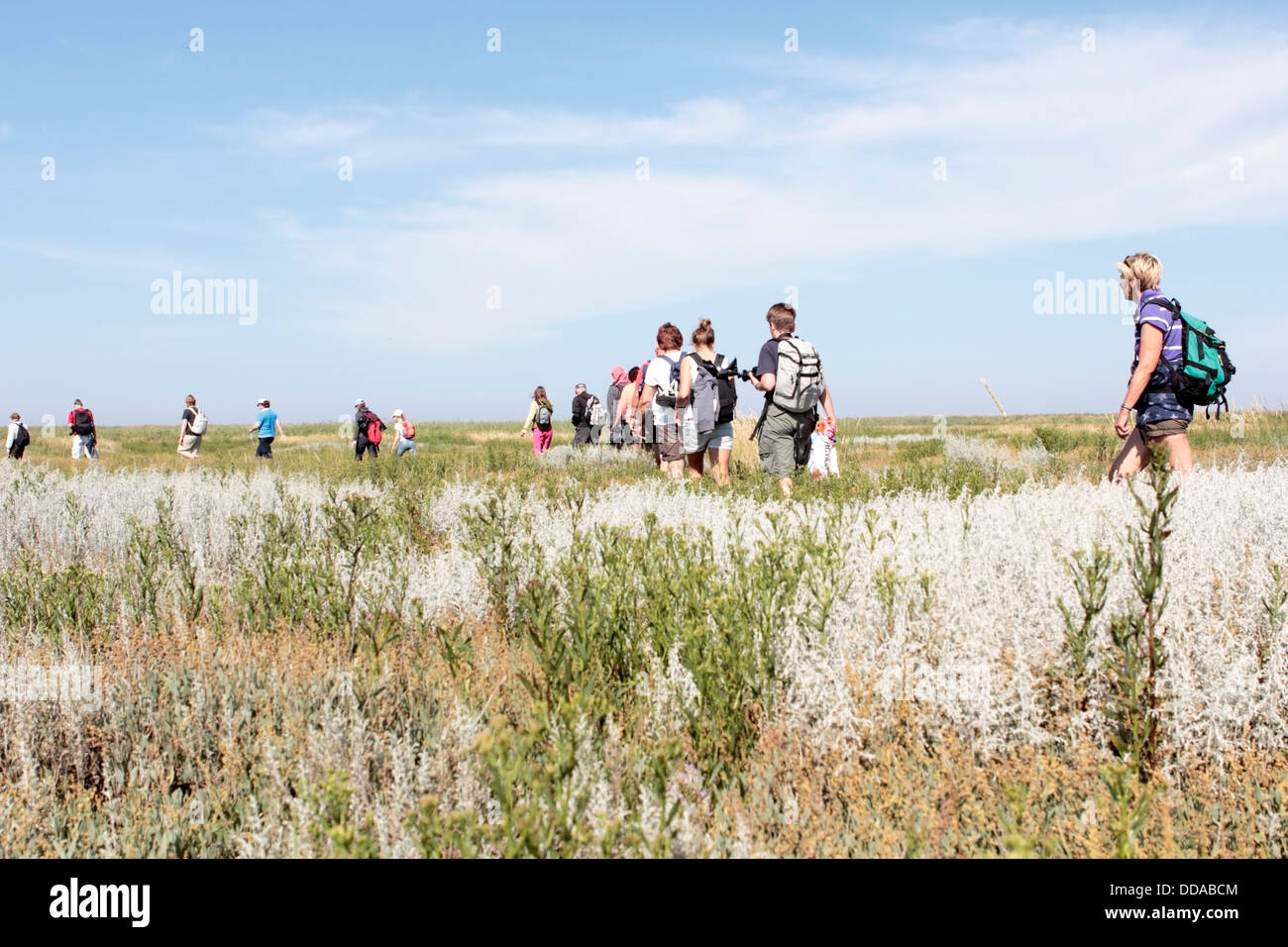 Wanderer in den Dünen der Insel Griend, Niederlande Stockfoto