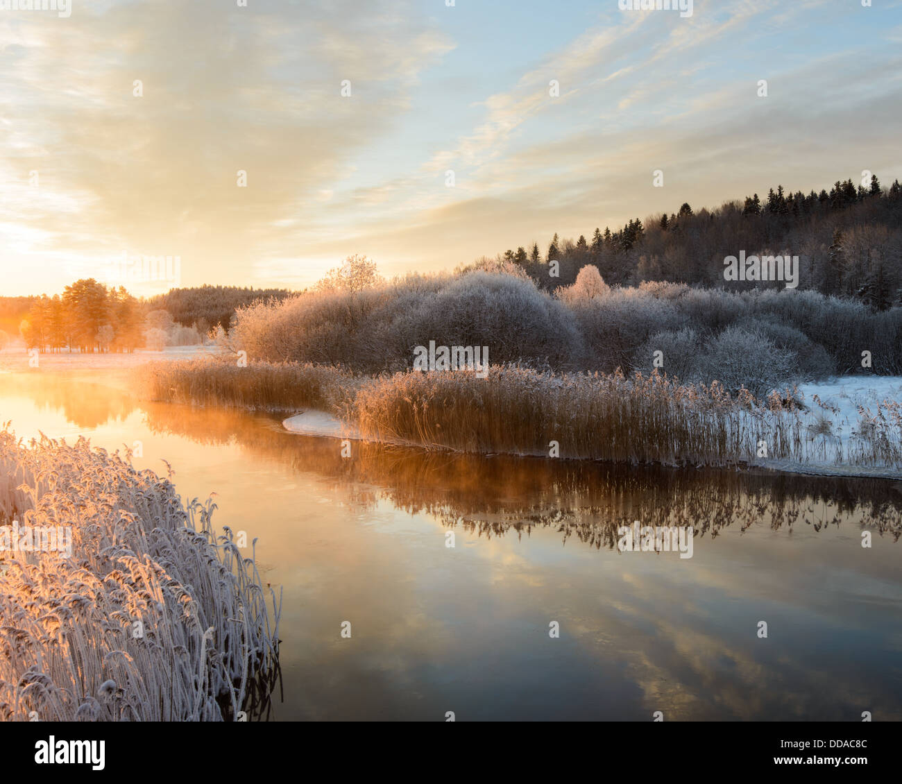 Fluss und Bäume im Winter, Storån, Åtvidaberg, Östergötland, Sweden Stockfoto