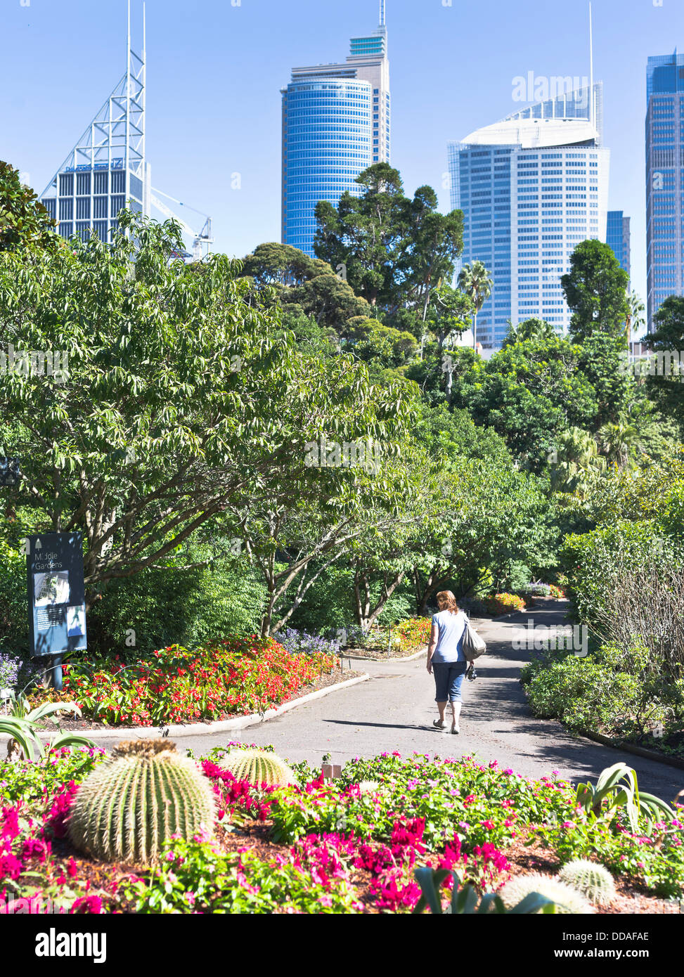 dh Royal Botanic Gardens SYDNEY Australien Frau Park Central Business District Stadt Skyline Gebäude Garten Menschen Stockfoto