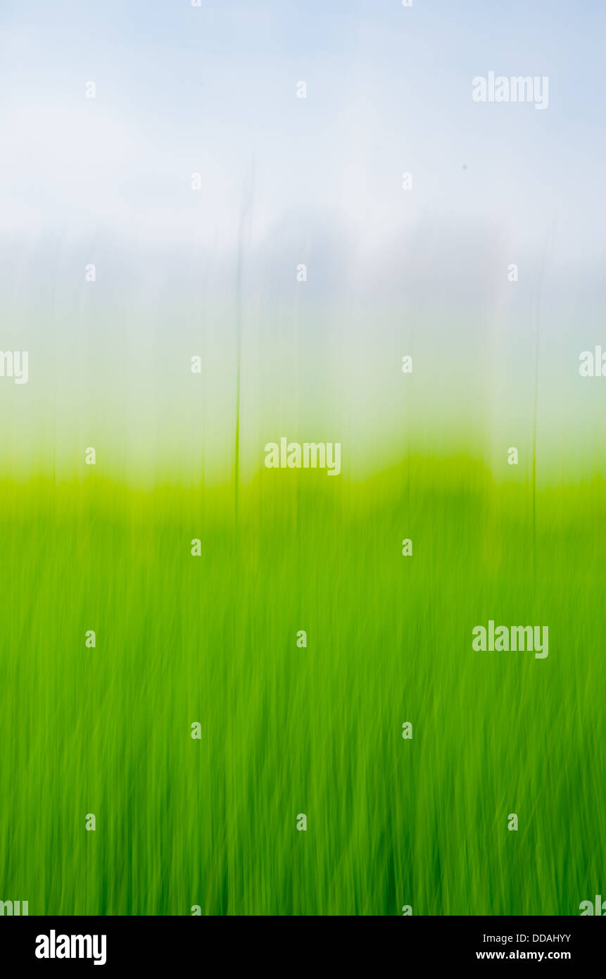 Die grüne Bewegung Stockfoto