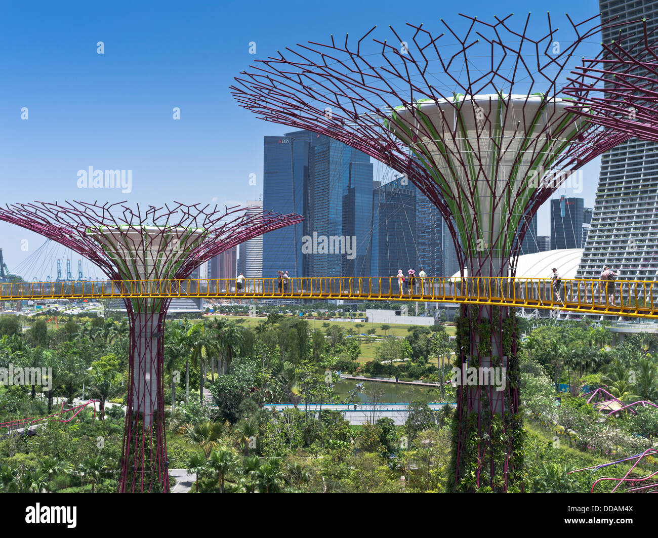 Dh Supertree Grove Gardens by the Bay SINGAPUR Supertrees vertikalen Garten Menschen zu Fuß skyway Gehweg skyscraper Park Stockfoto