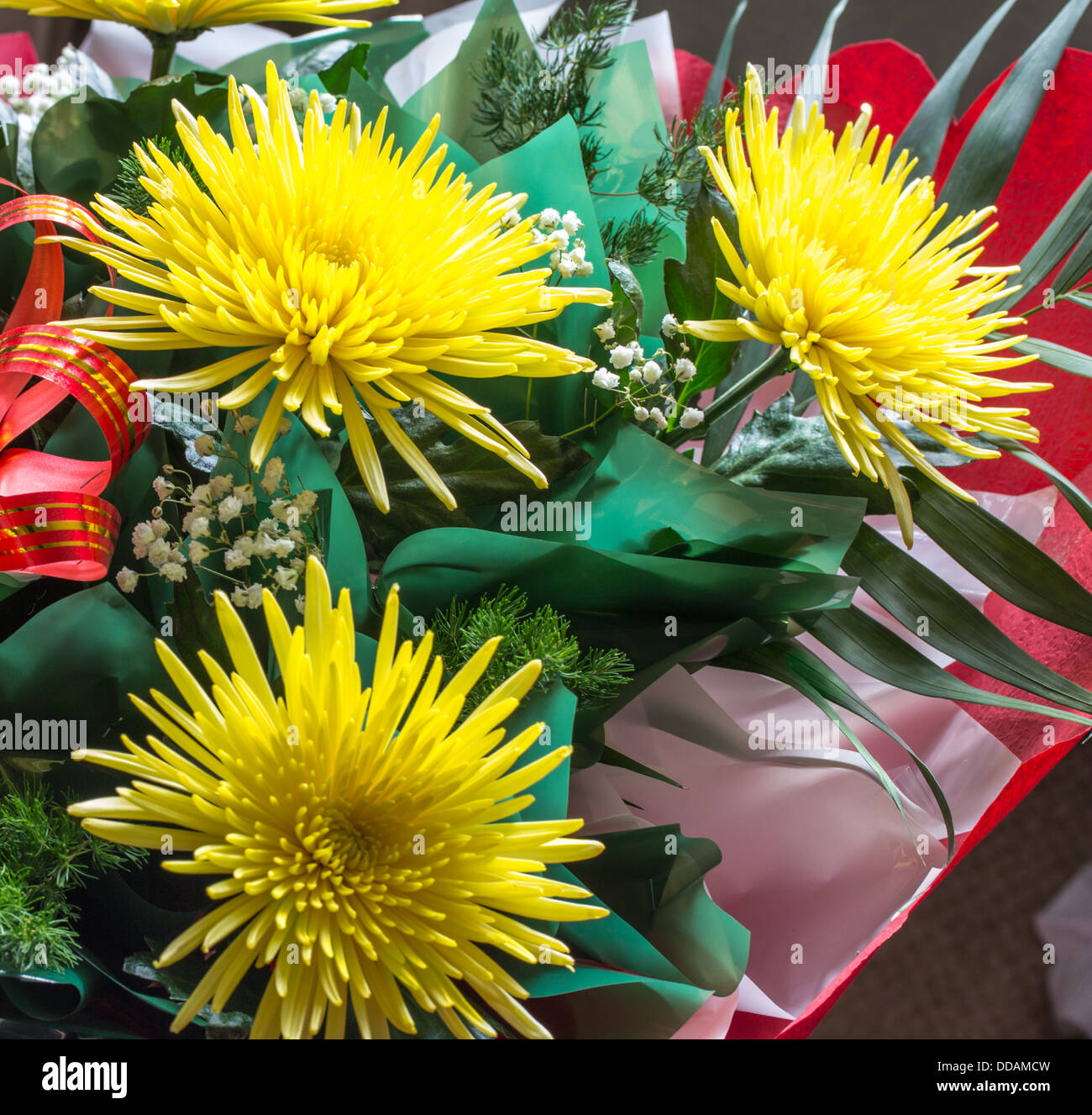 Blumen Blumenstrauß Stockfoto