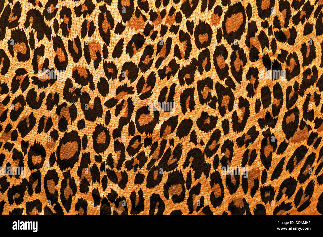Leopard Bild Fell als Hintergrund Stockfoto