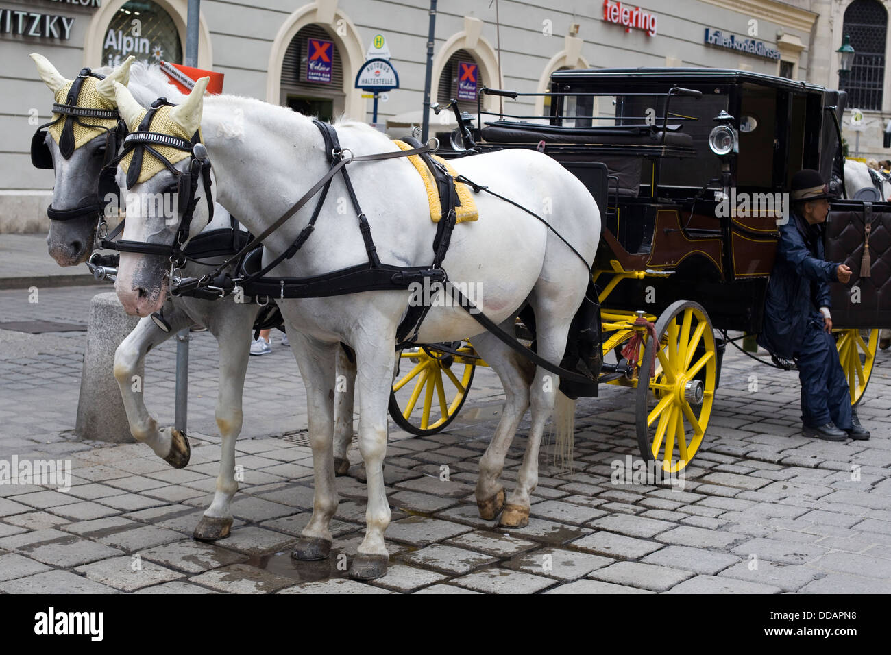 Pferdekutsche Kutsche reitet traditionellen Fiaker in Wien Österreich Stockfoto