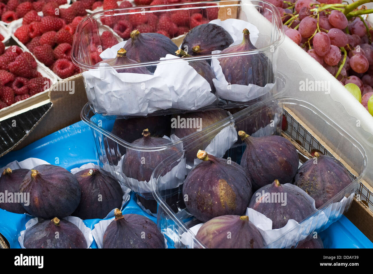 frische Reife Feigen Früchte Ficus Carica in Kunststoff-Behältern Stockfoto