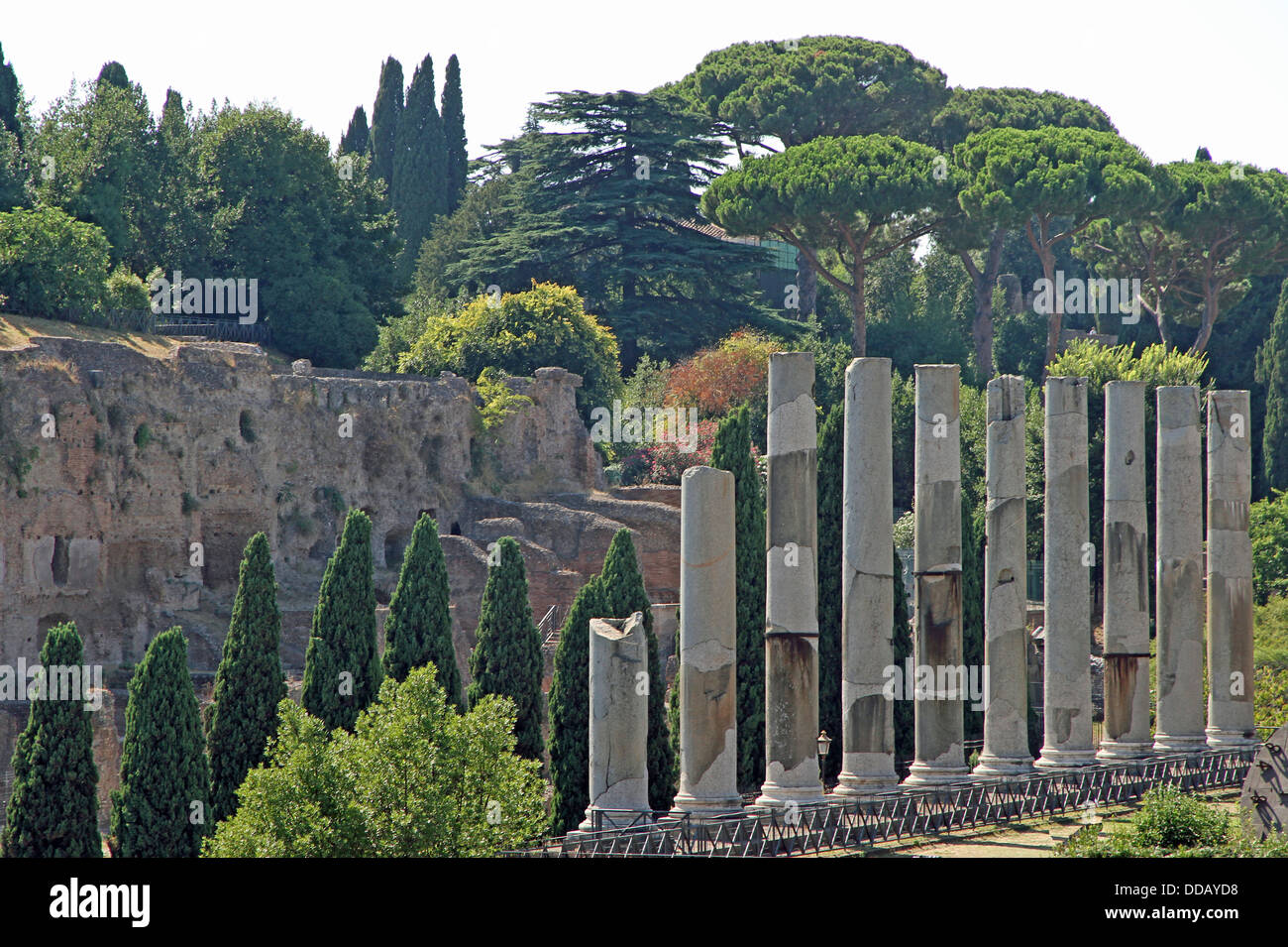 Antiken Säulen des römischen Tempels in den Fori Imperiali in der Nähe des Kolosseums in Rom 2 Stockfoto