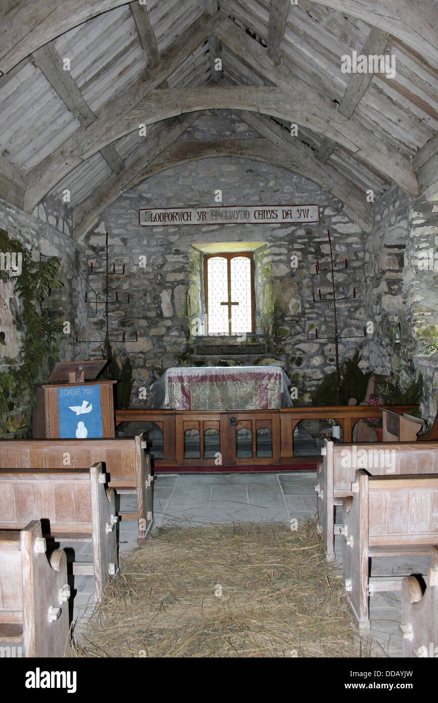 Duftenden Binsen und Kräutern bedecken den Boden der Kirche St. Beuno, Pistyll, Llyn Halbinsel, Wales Stockfoto