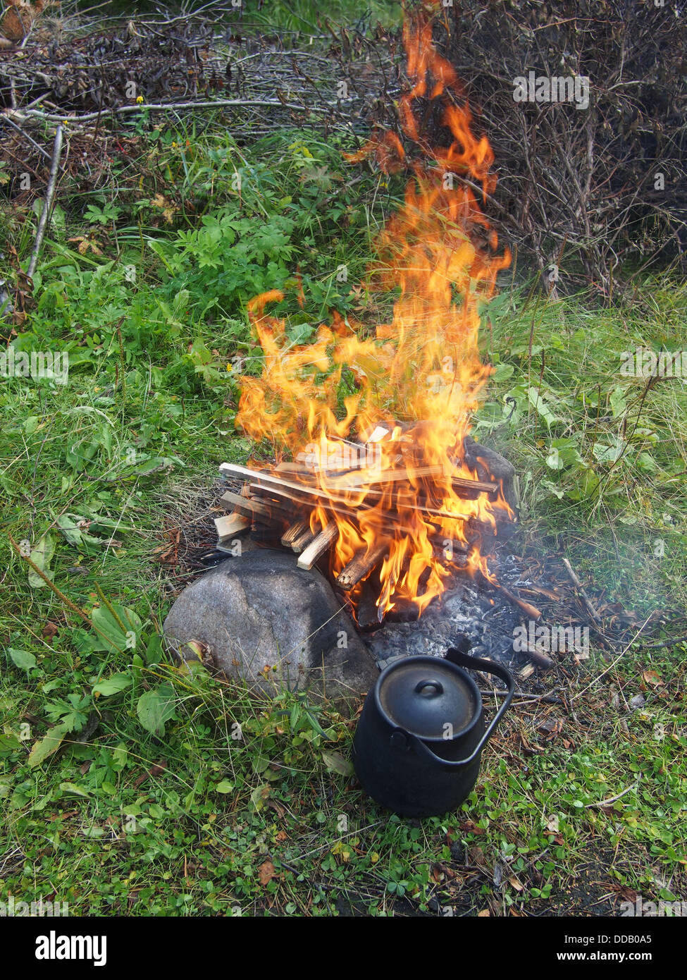 Teekanne und Kessel auf dem Feuer im Sommer Stockfoto