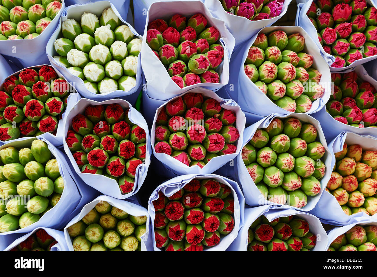 China, Hongkong, Kowloon, Mongkok, Flower Market Road Stockfoto