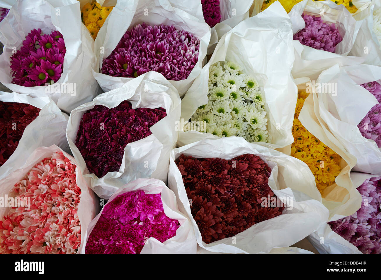 China, Hongkong, Kowloon, Mongkok, Flower Market Road Stockfoto