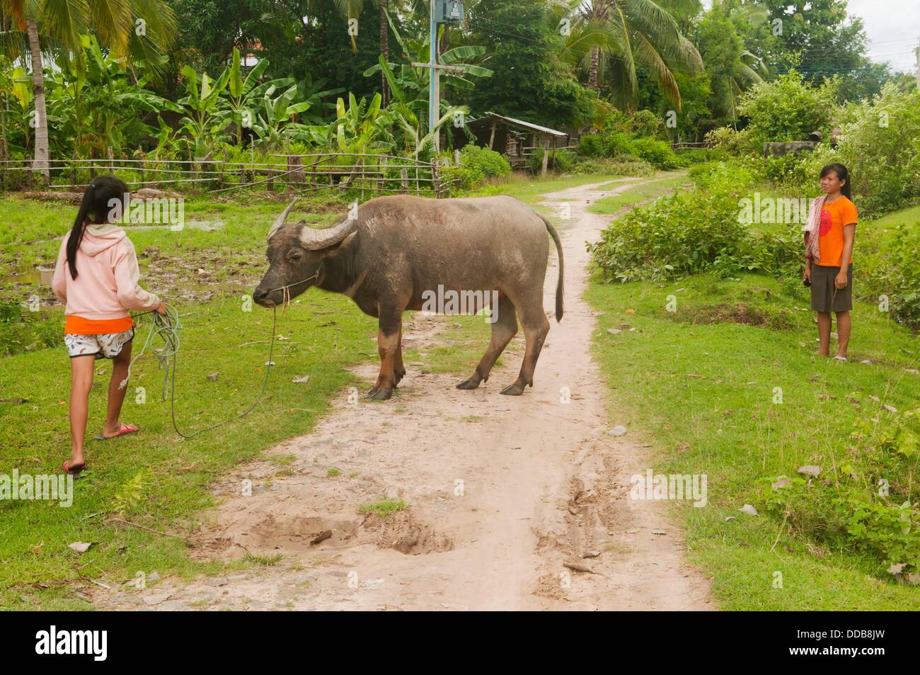 Landleben auf Don Khone Island in Laos Stockfoto