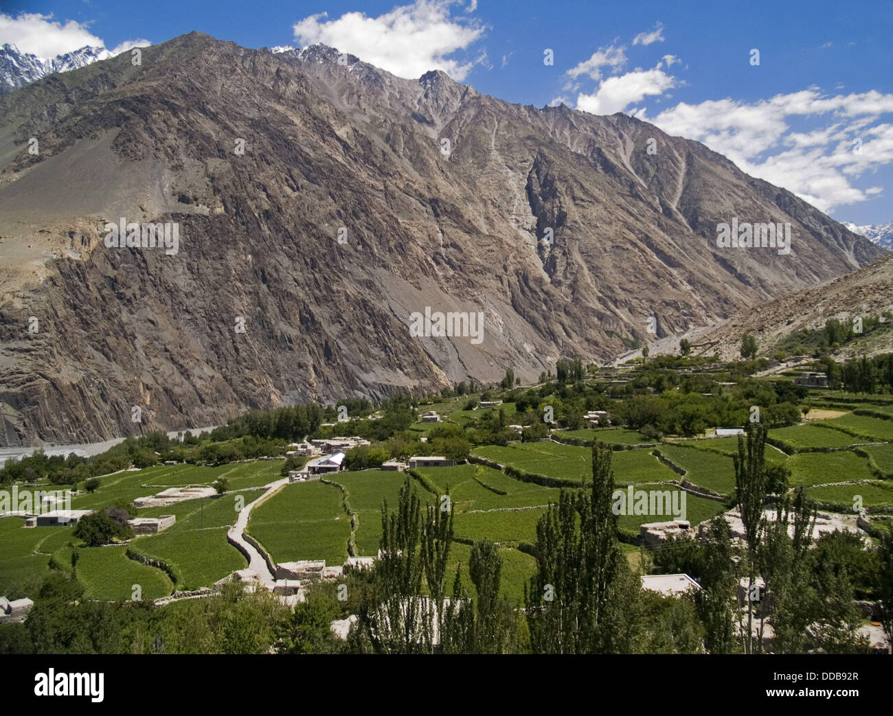 Landwirtschaft gedeiht unter den trockenen Gipfeln der Hunza im Karakorum in Pakistan Stockfoto
