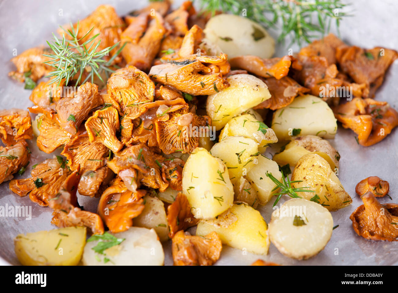 Gebratene Pfifferlinge mit Kartoffeln und Zwiebeln in auf Platte ...