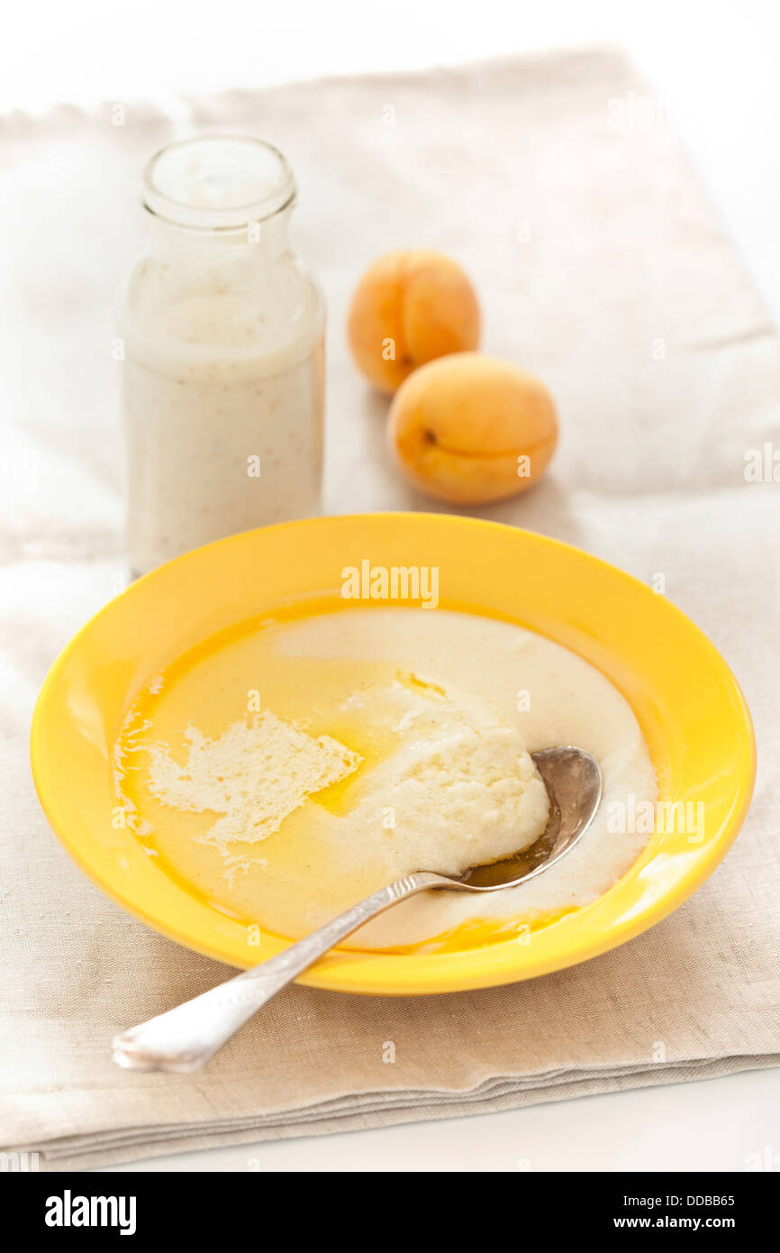 Schüssel Haferbrei mit Pfirsich und Joghurt auf strukturierten Hintergrund Stockfoto