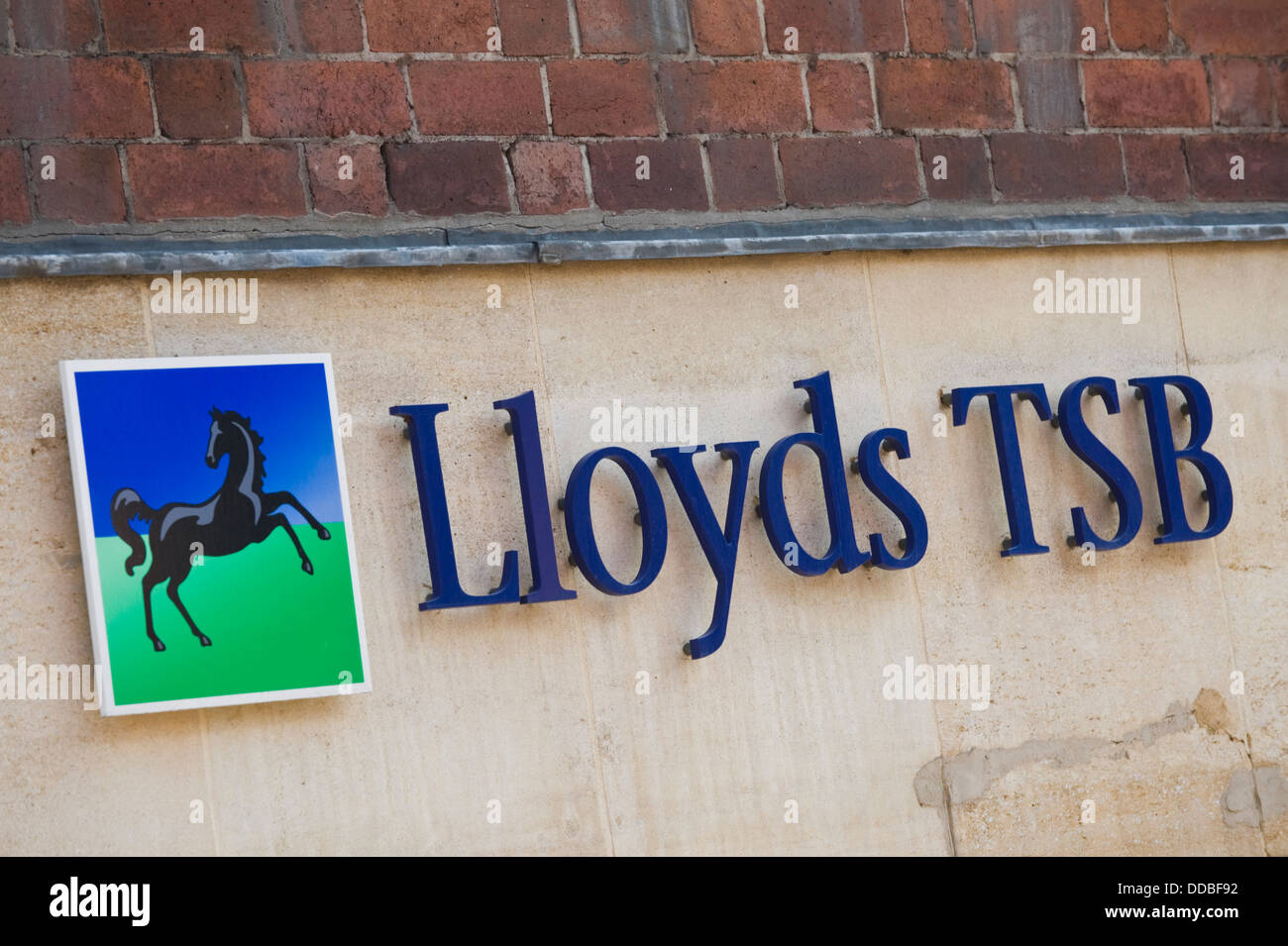 LLOYDS TSB Grossbank in der Innenstadt von York North Yorkshire England UK Stockfoto