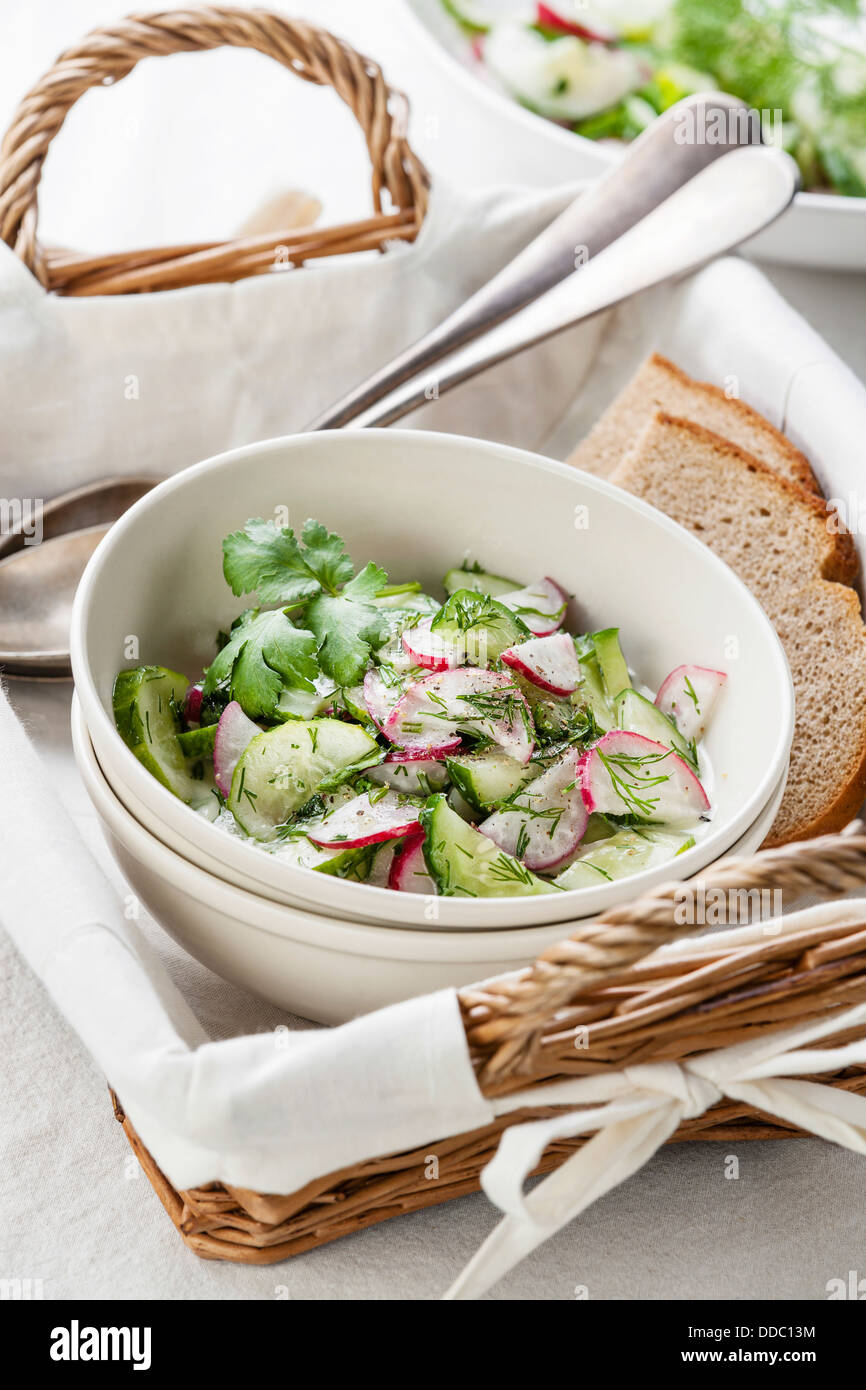 Salat mit Radieschen und Gurken Stockfoto